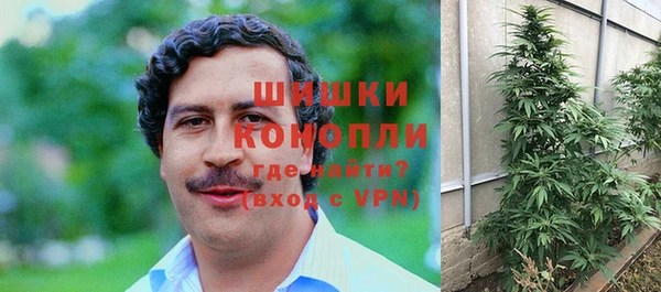 шишки Семёнов