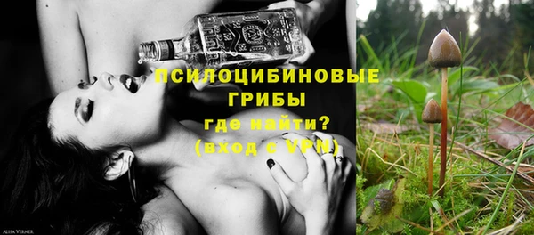 кокс Богородицк