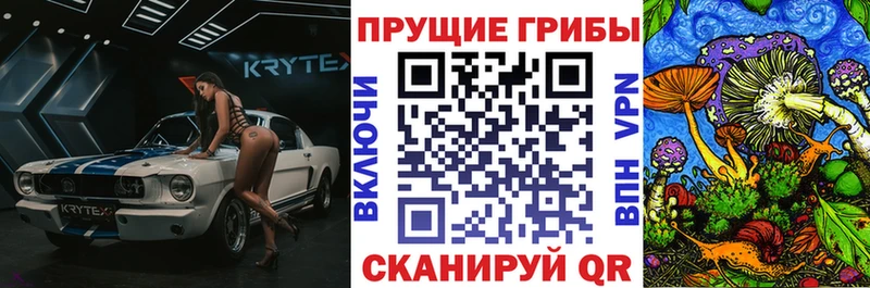 нарко площадка как зайти Коммунар Псилоцибиновые грибы MAGIC MUSHROOMS